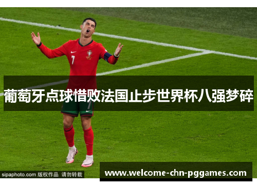 葡萄牙点球惜败法国止步世界杯八强梦碎
