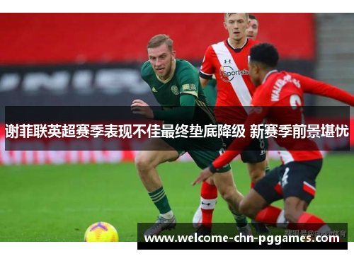 谢菲联英超赛季表现不佳最终垫底降级 新赛季前景堪忧 谢菲联英超赛季表现不佳最终垫底降级 新赛季前景堪忧