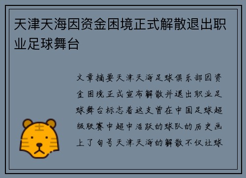 天津天海因资金困境正式解散退出职业足球舞台